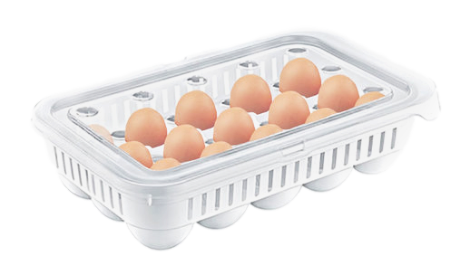 Egg Storage Container With Lid Holds Upto 15 Eggs AK680 (Parcel Rate)