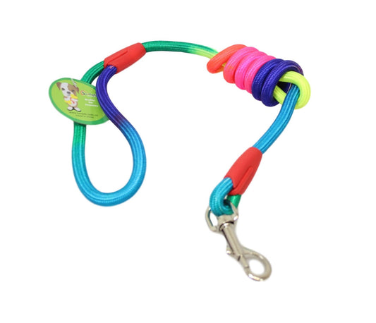 Strong Nylon Pet Dog Rope Lead Rainbow Colour 1.25m 6304 (Large Letter Rate)
